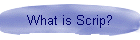 What is Scrip?